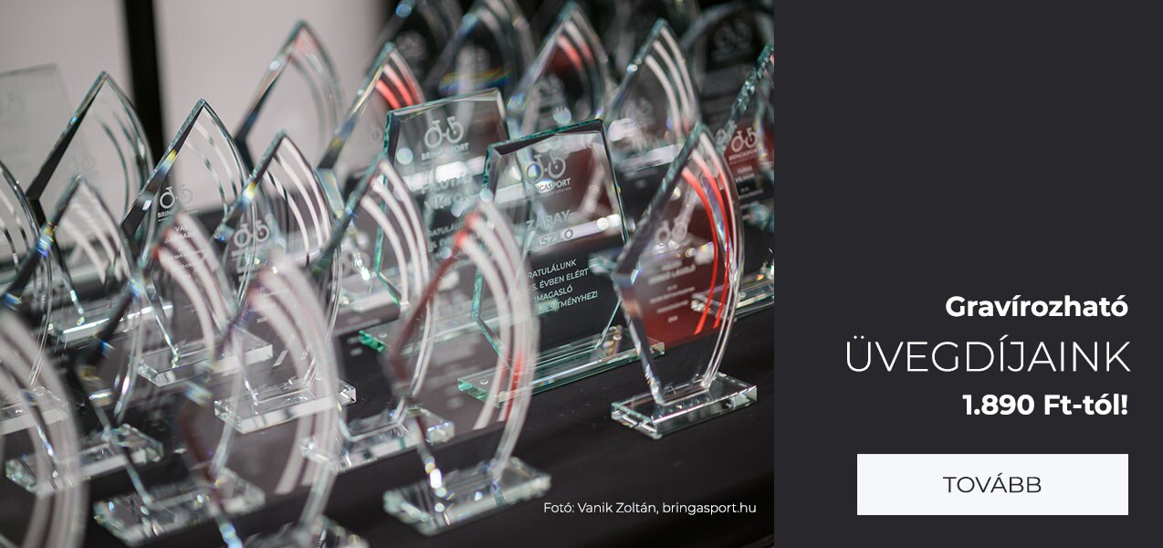 gravírozott üvegdíj kristálydíj