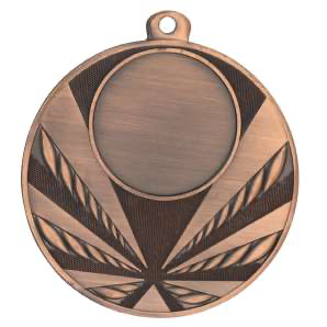 Bronz érem 529