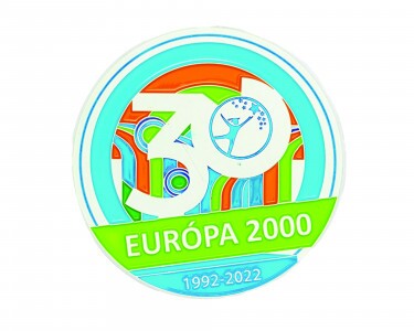 Egyedi zamak coin 60 mm, 3 színnel festve